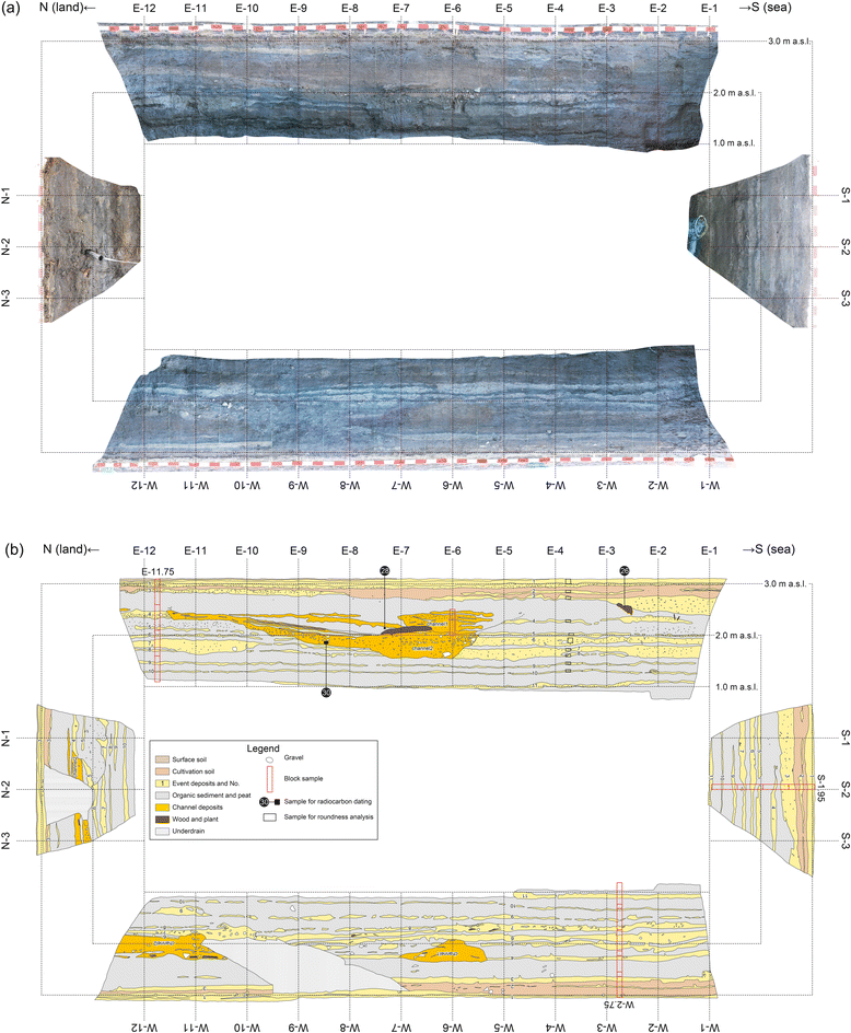 Fig. 6