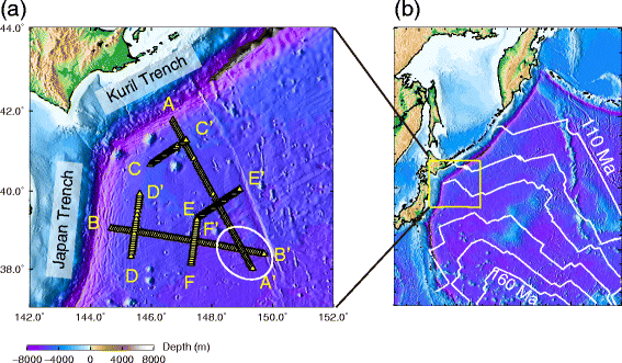 Fig. 1