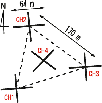 Fig. 2