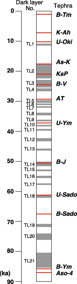 Fig. 4