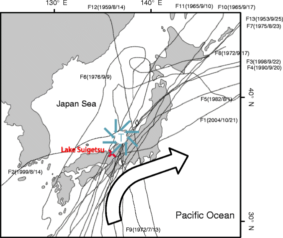 Fig. 10