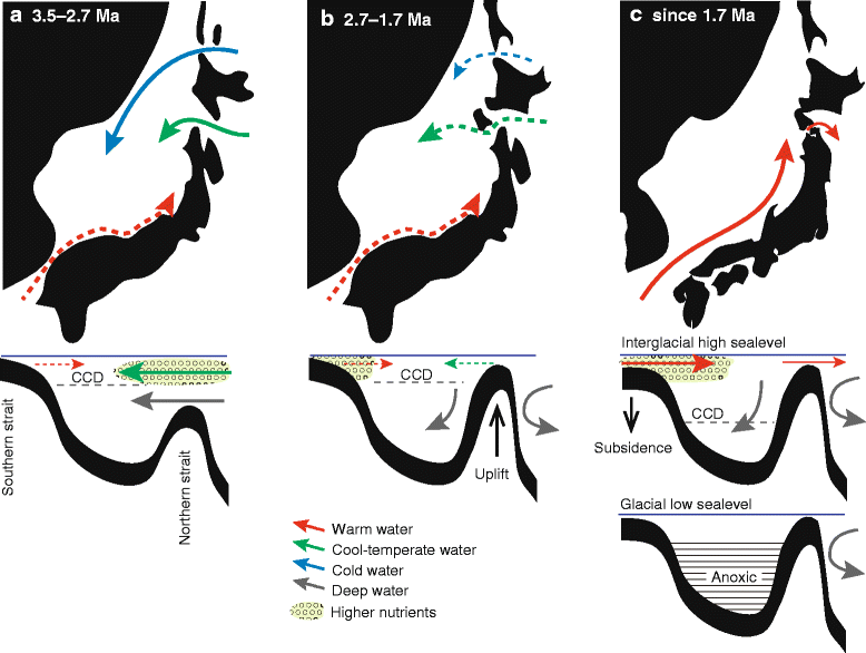 Fig. 7