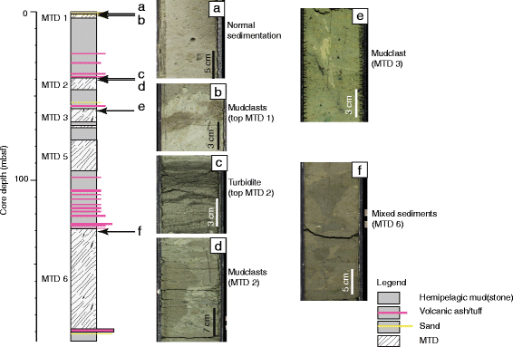 Fig. 4