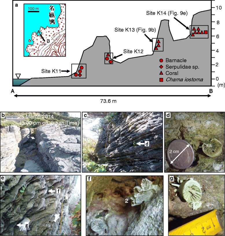 Fig. 9