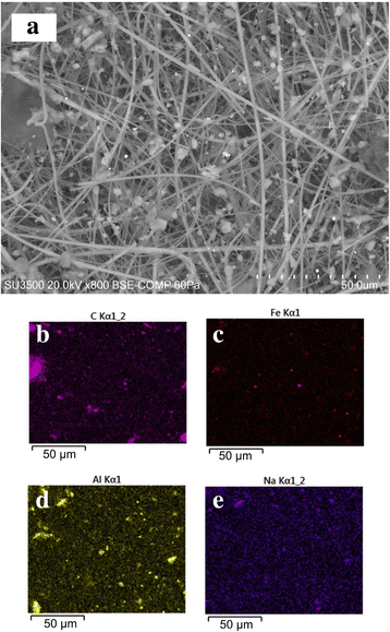 Fig. 13