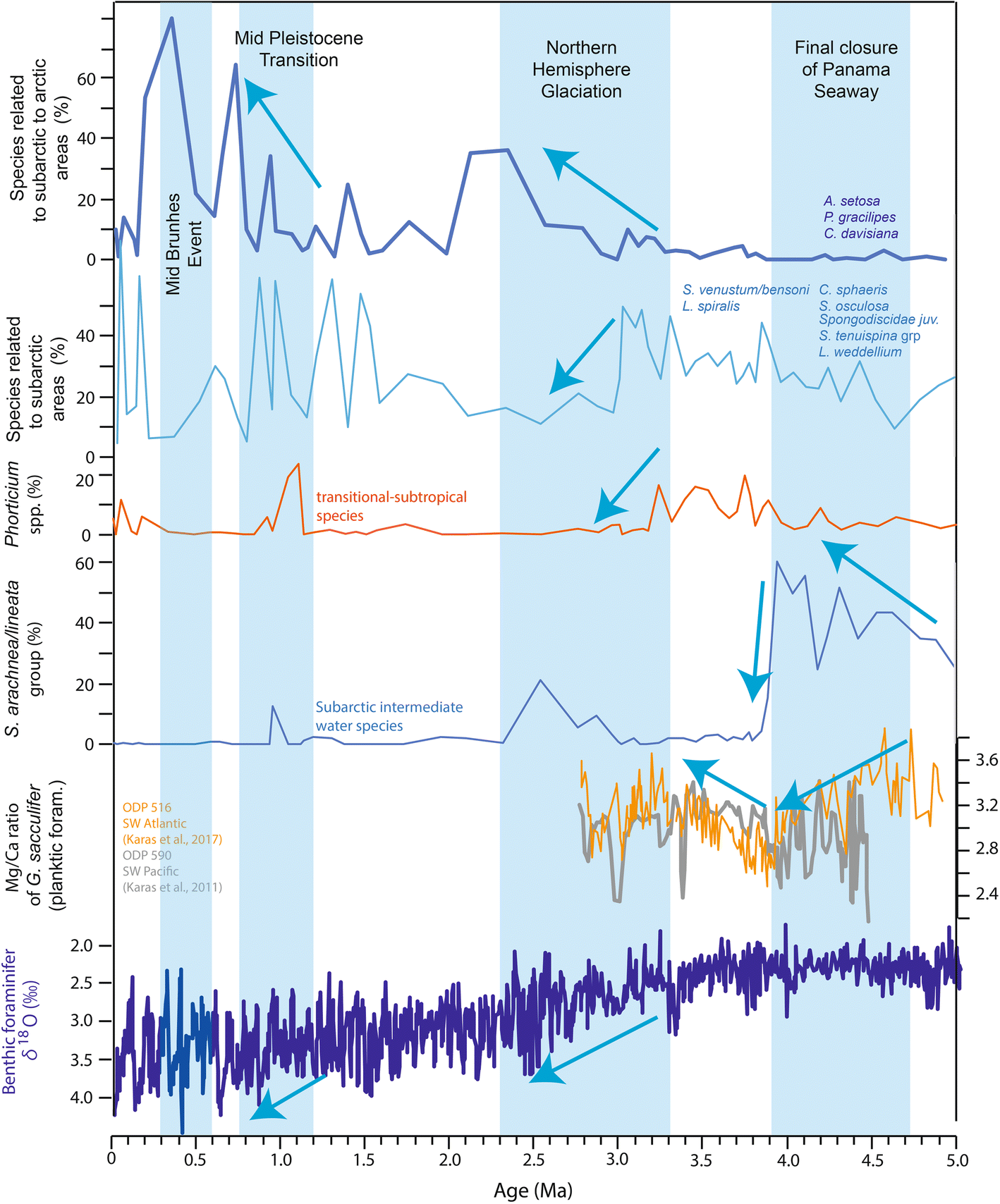 Fig. 9