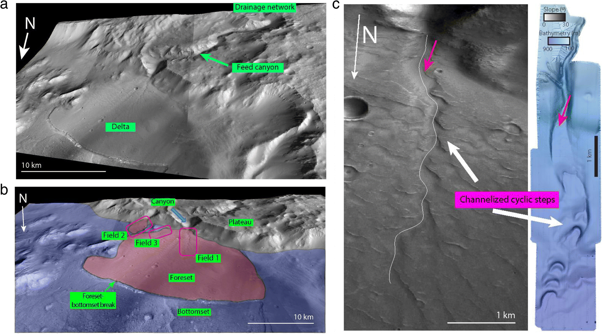 Fig. 10