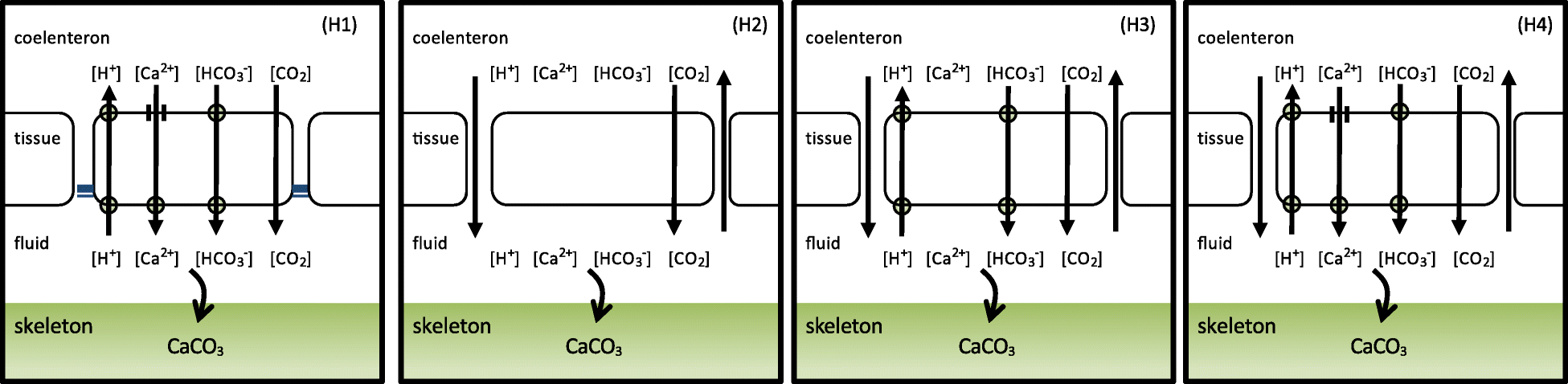 Fig. 9