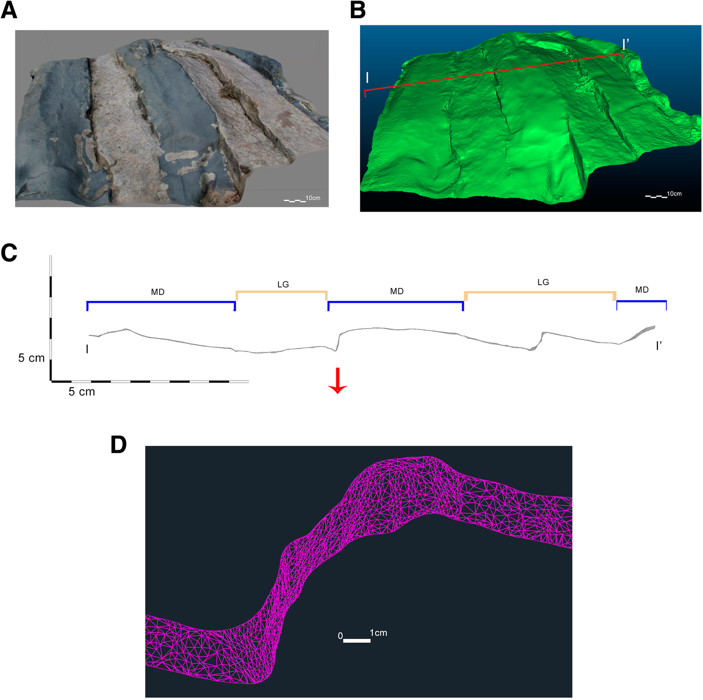 Fig. 9