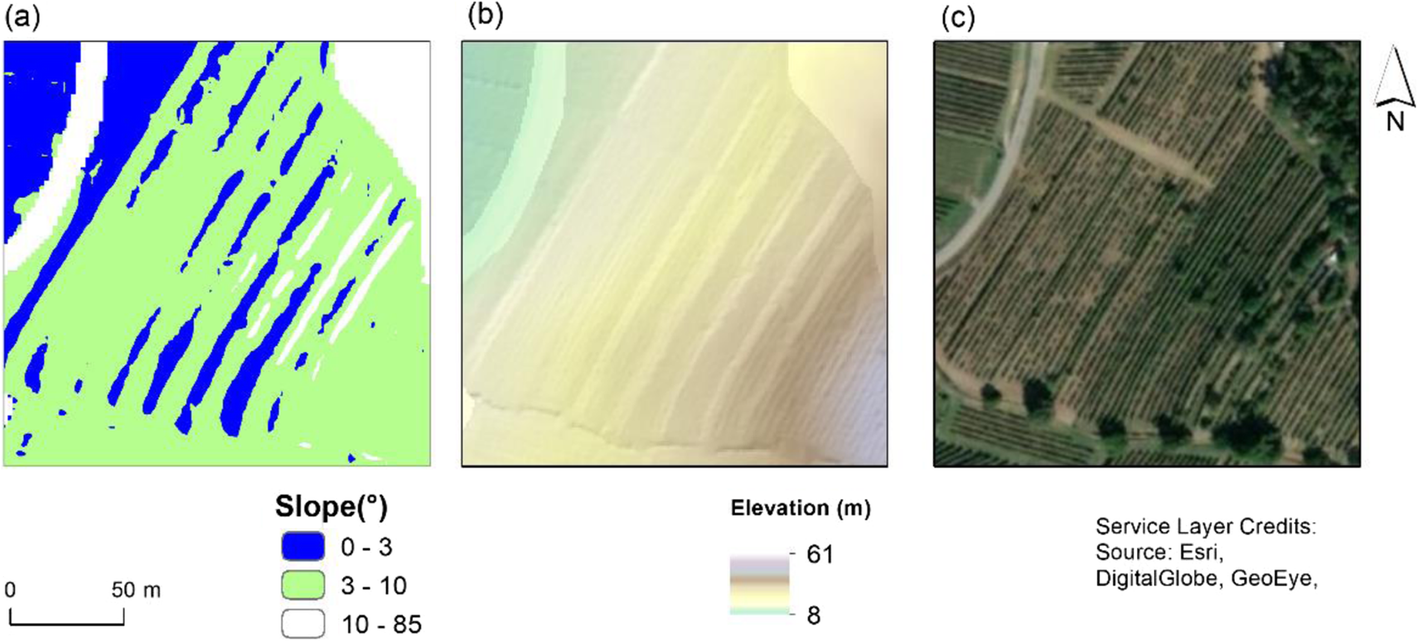 Fig. 9