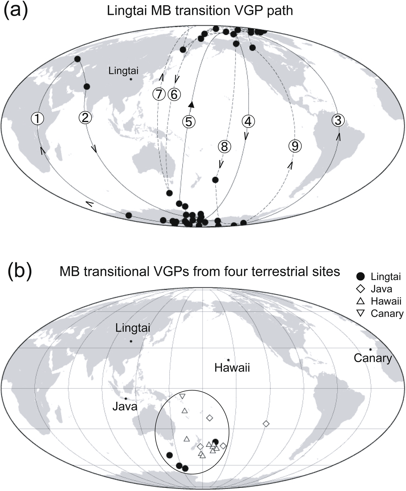 Fig. 7