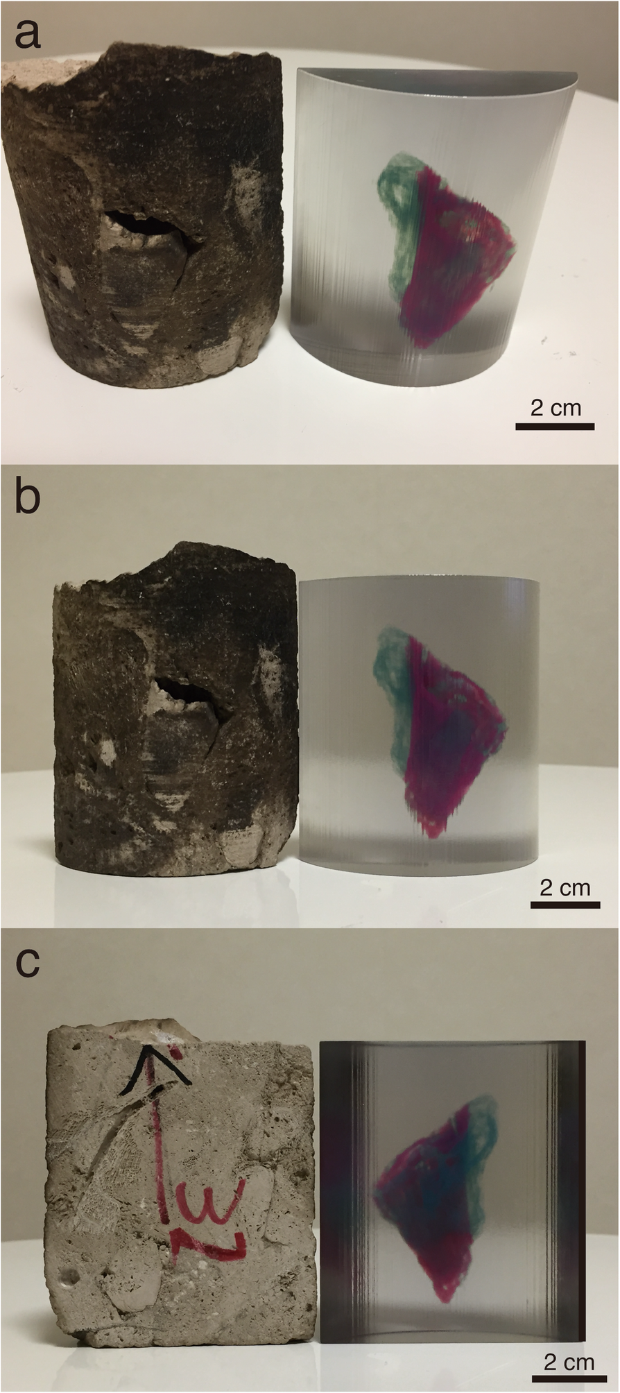 Fig. 8