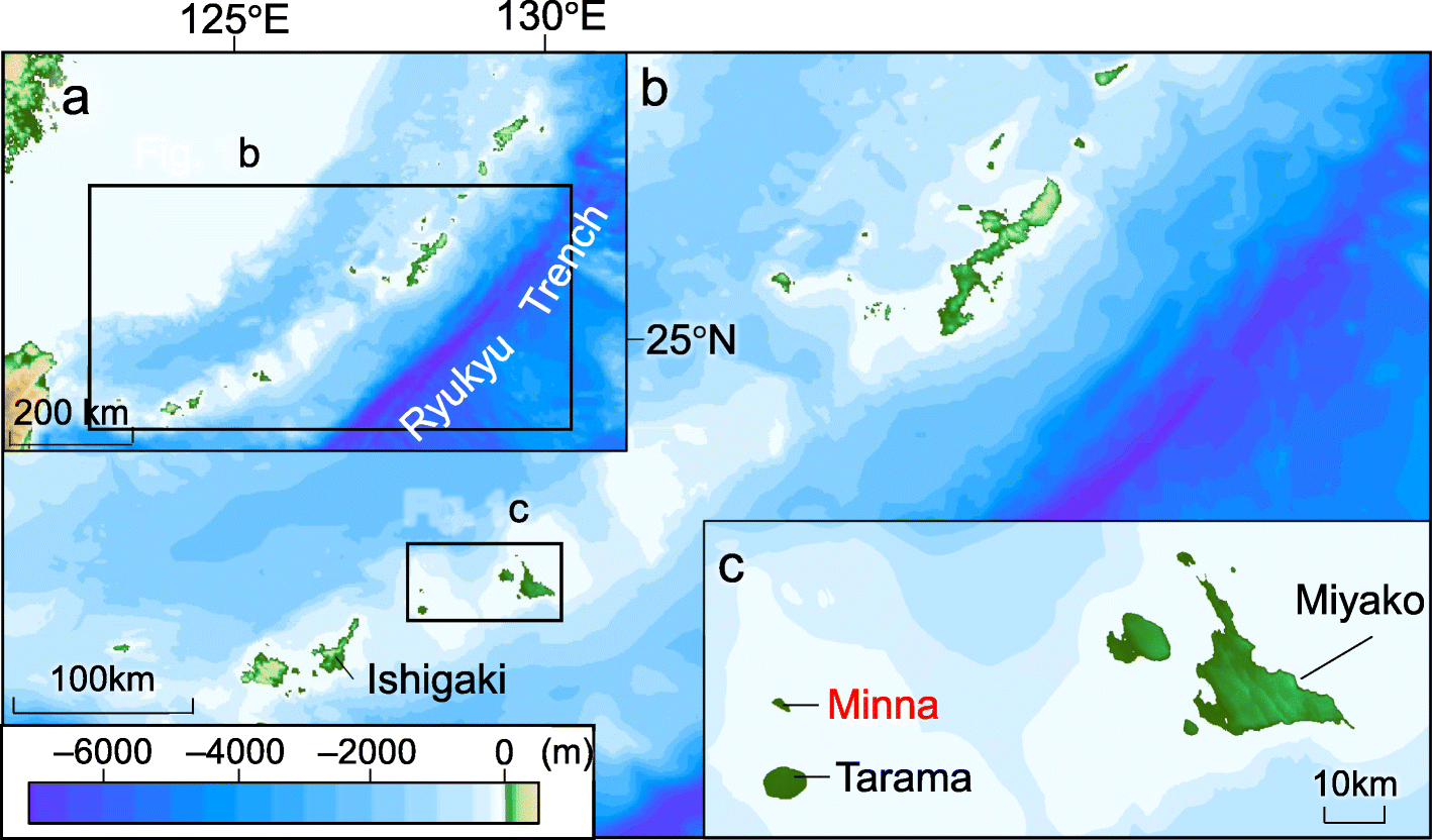 Fig. 1