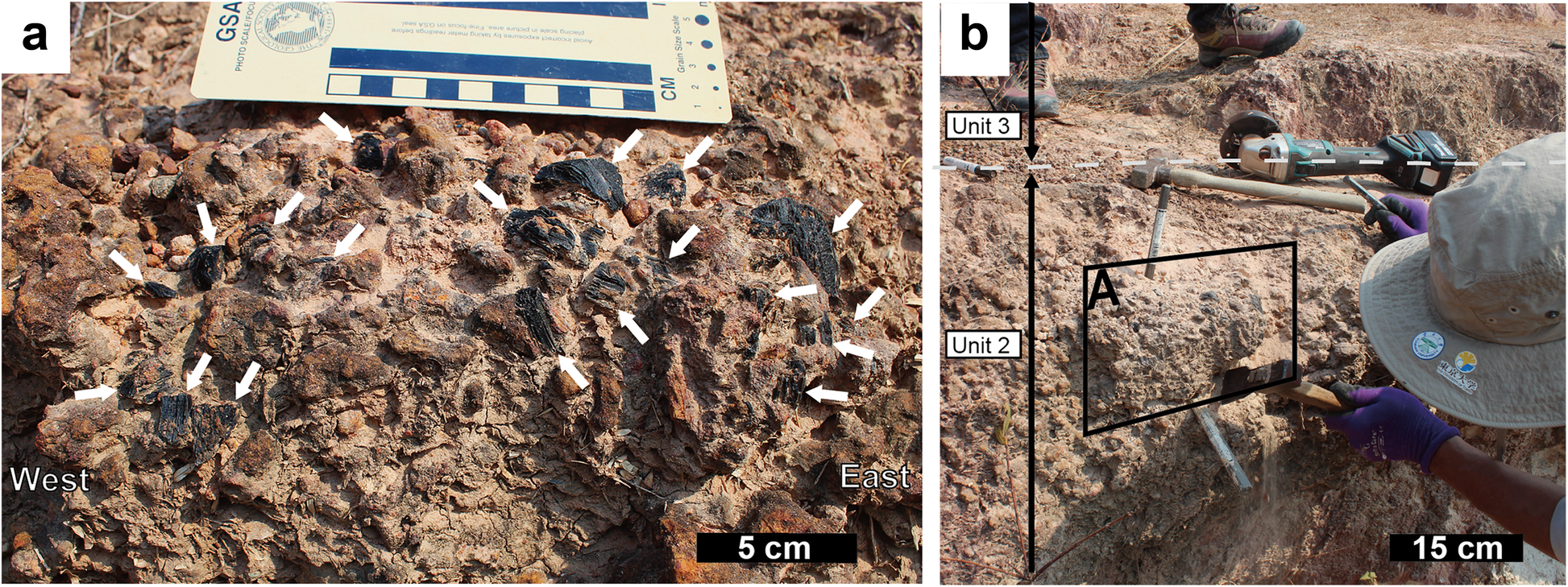 Fig. 4