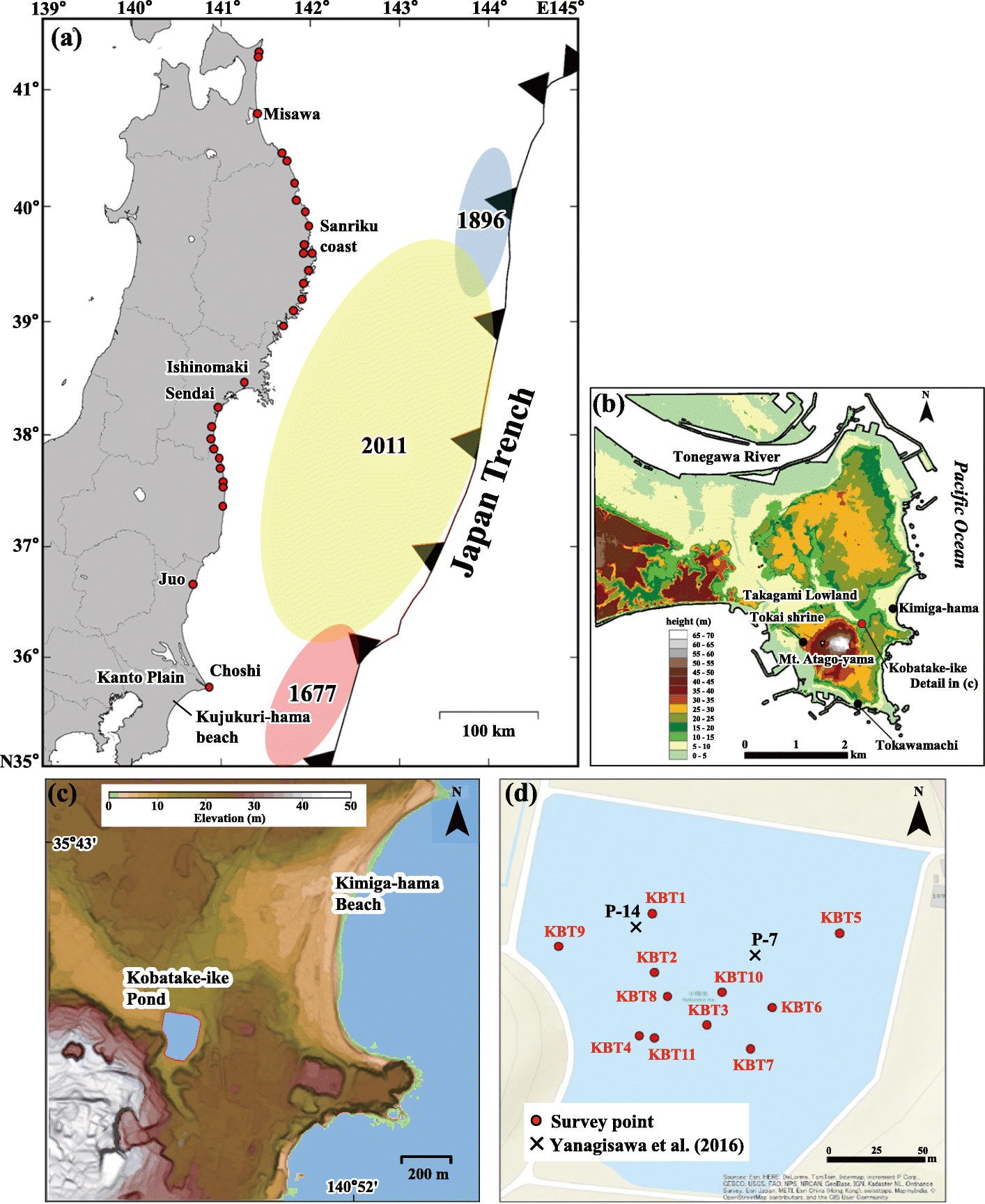 Fig. 1