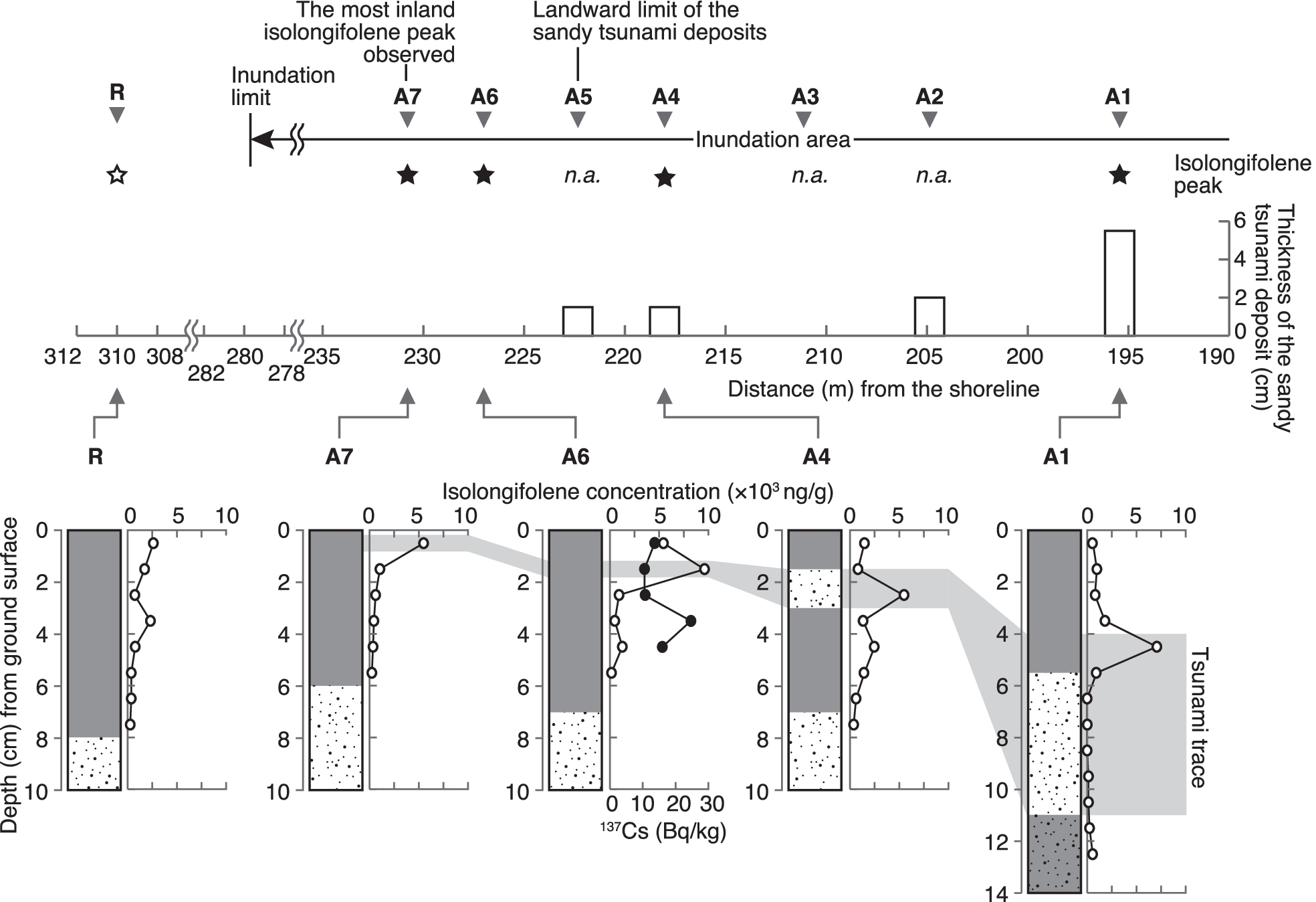 Fig. 5