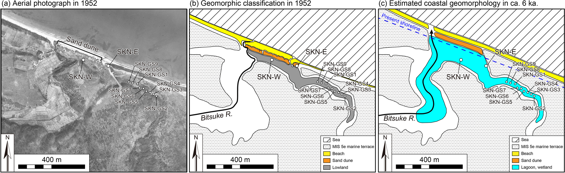 Fig. 10