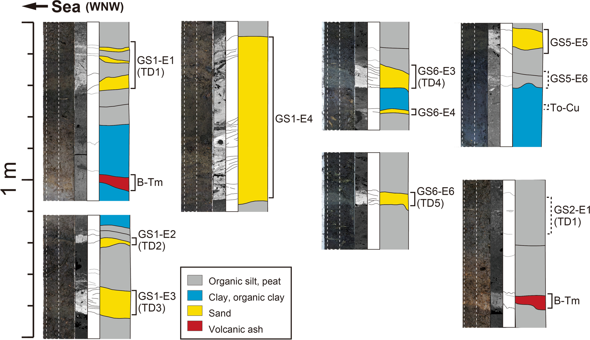 Fig. 6