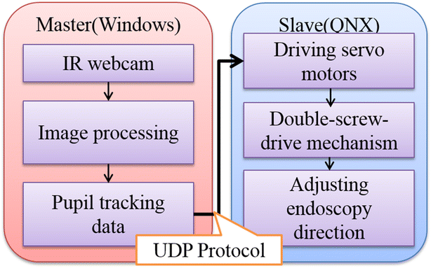 Fig. 19