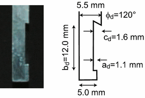 Fig. 10