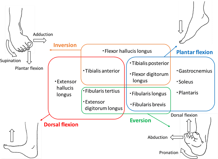 Fig. 10