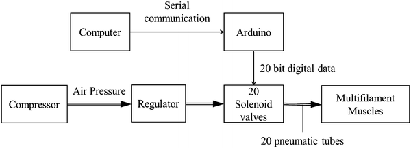 Fig. 12