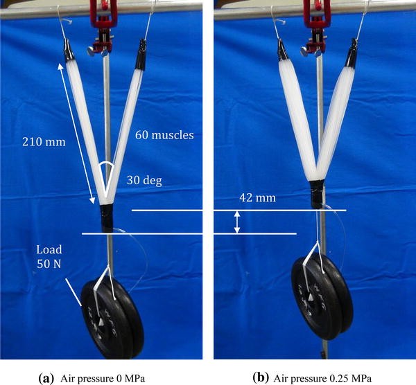 Fig. 7