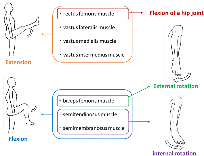 Fig. 9