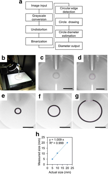 Fig. 4