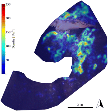 Fig. 12