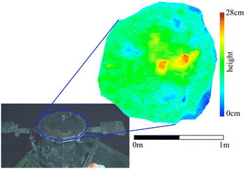 Fig. 13