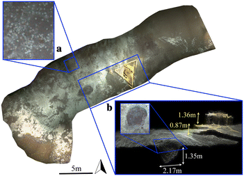 Fig. 5