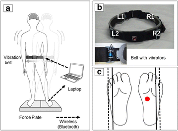 Fig. 3