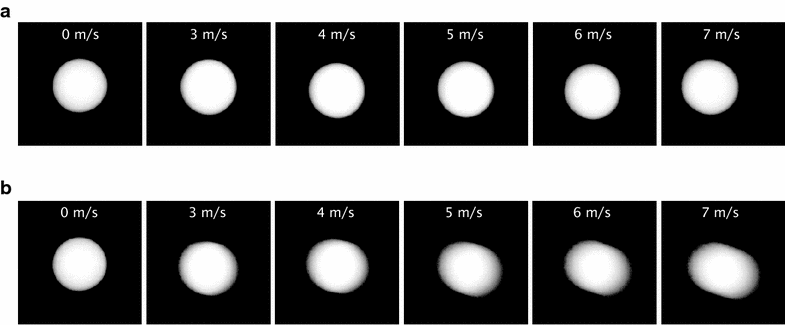 Fig. 17