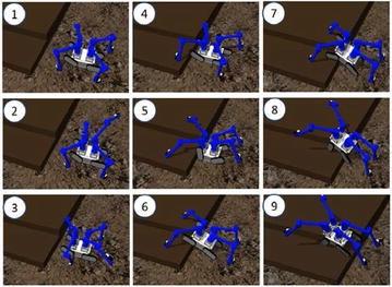 Fig. 17