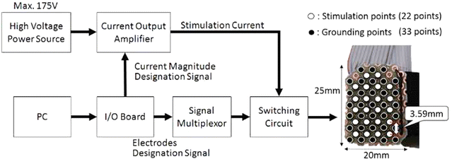 Fig. 3