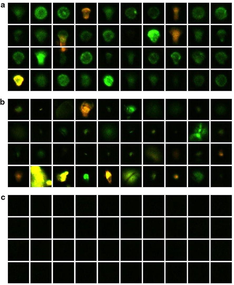 Fig. 3