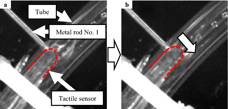 Fig. 12