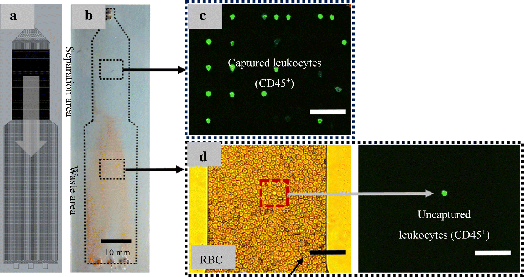 Fig. 4