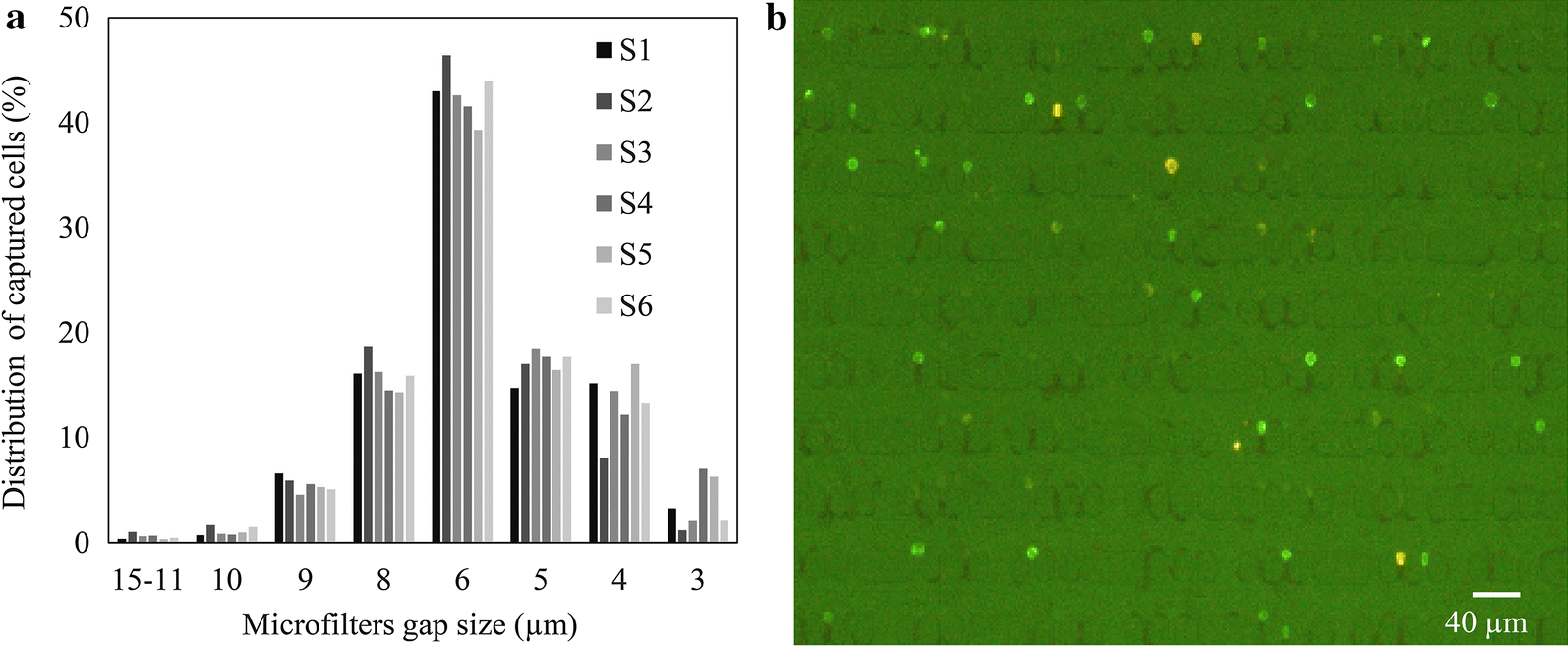 Fig. 9