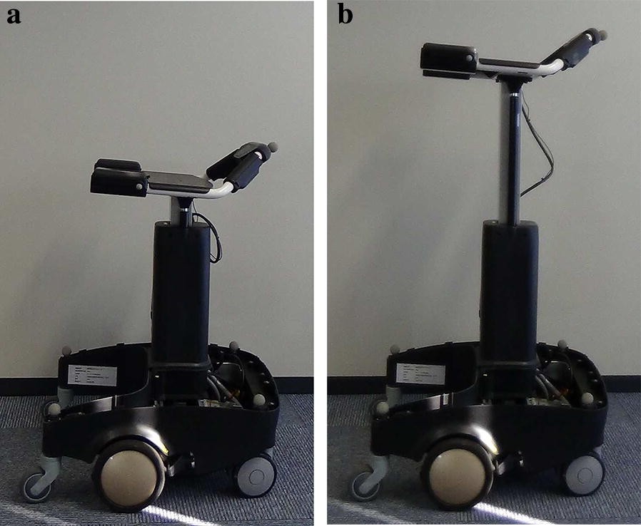 Fig. 1