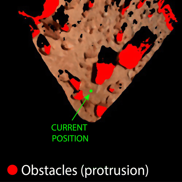 Fig. 12