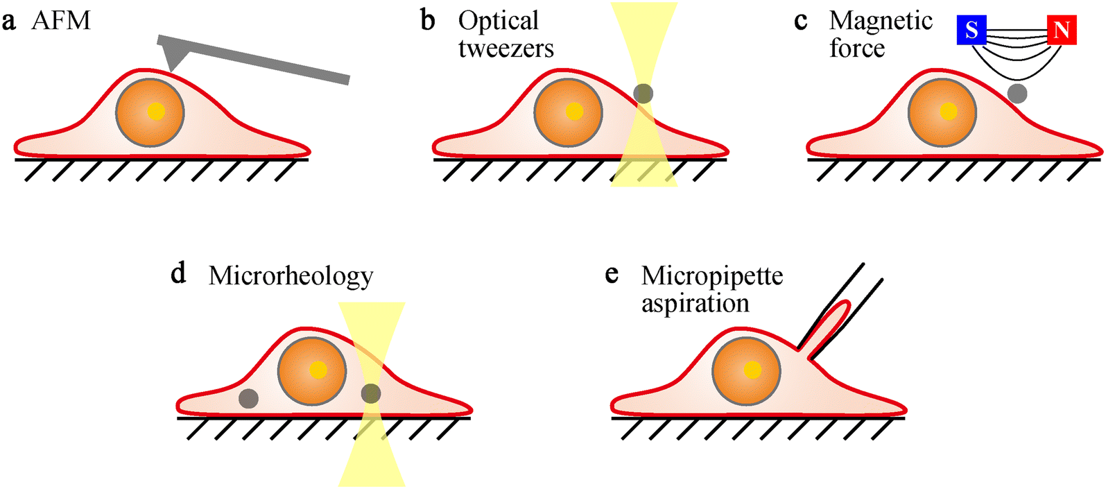 Fig. 1