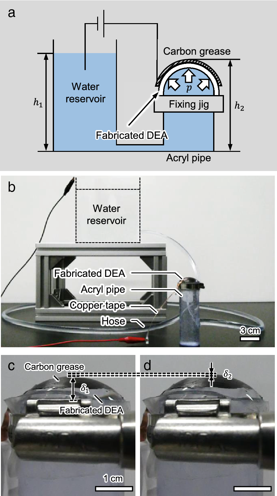 Fig. 3