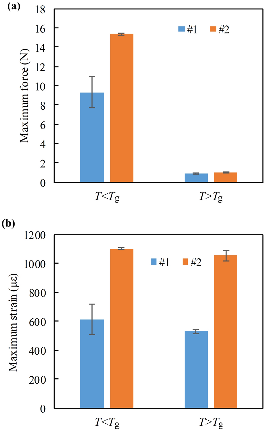 Fig. 10