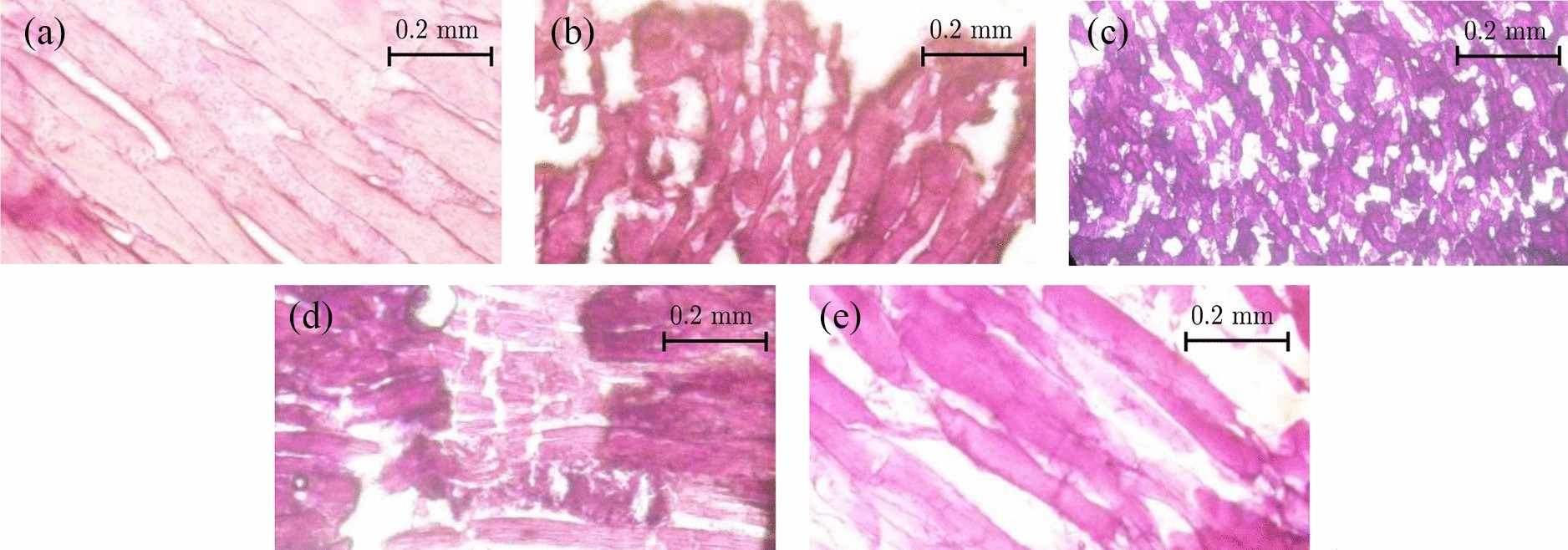 Fig. 15