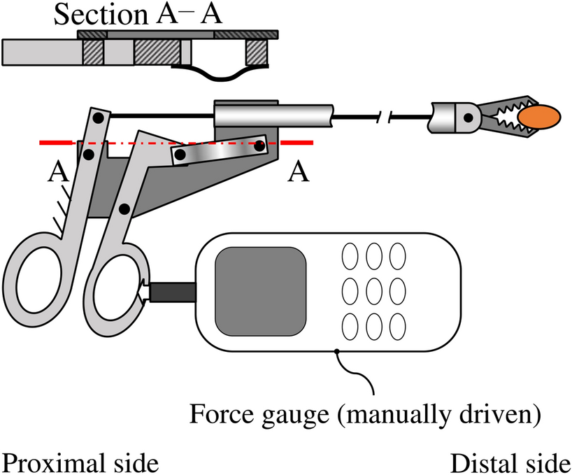 Fig. 16