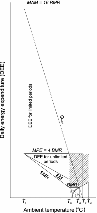 Fig. 5