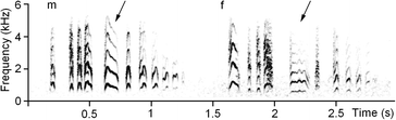 Fig. 10