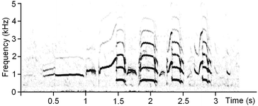 Fig. 13